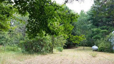 9677 Tuscola Road Clio, MI 48420 - Photo 4 of 76 20434492-3.JPG