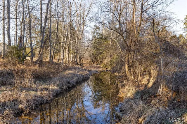 $430,000 | 2122 Madison 303, Marquand, MO 63655