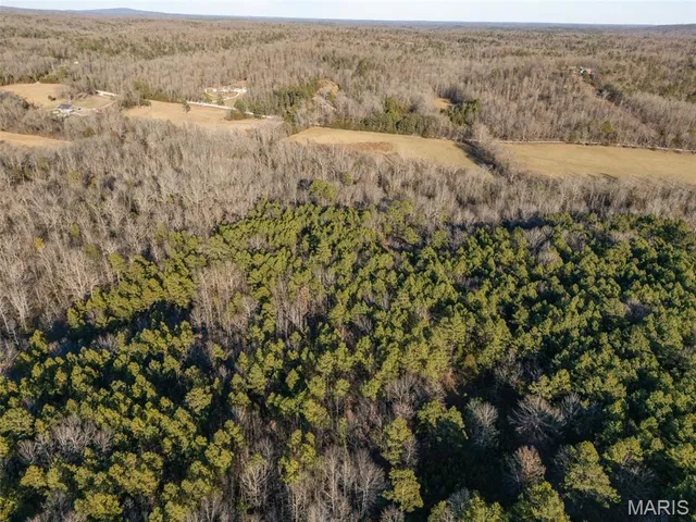 $430,000 | 2122 Madison 303, Marquand, MO 63655