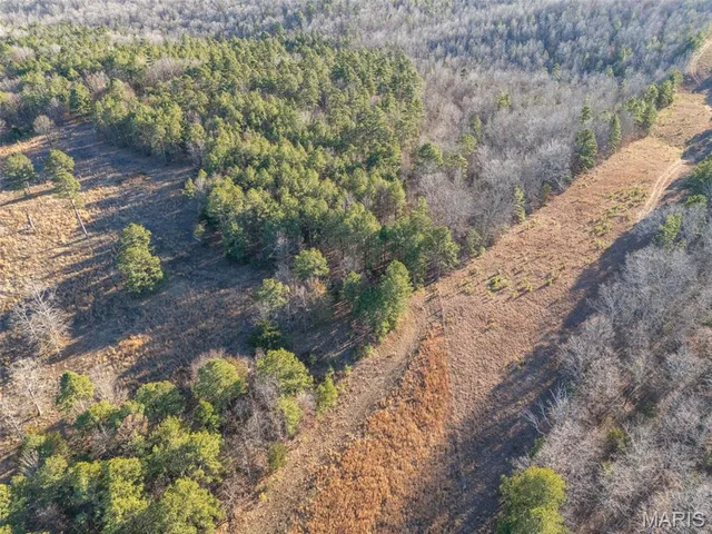 $430,000 | 2122 Madison 303, Marquand, MO 63655