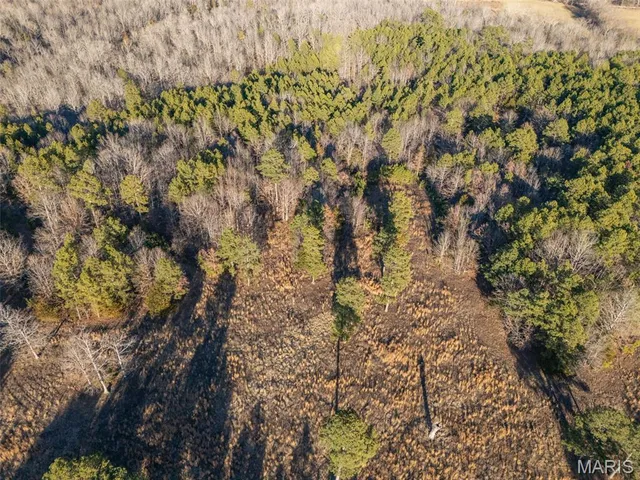 $430,000 | 2122 Madison 303, Marquand, MO 63655