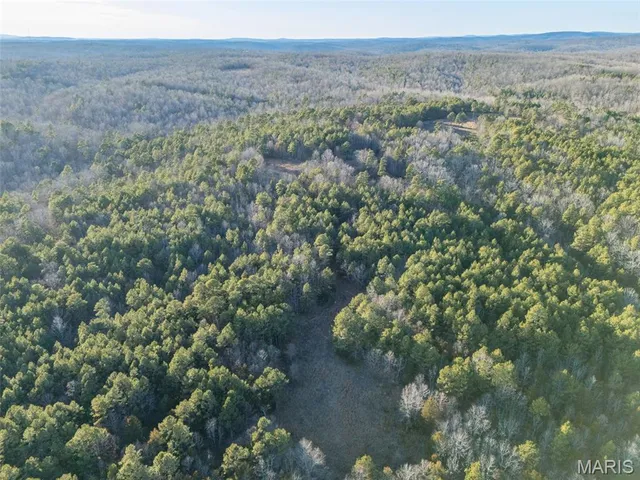 $430,000 | 2122 Madison 303, Marquand, MO 63655