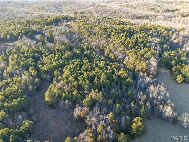 $430,000 | 2122 Madison 303, Marquand, MO 63655