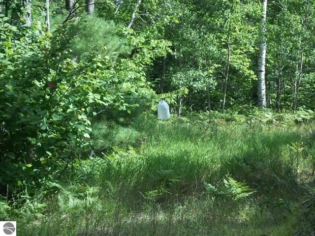 2576 Valley Road Northwest Kalkaska, MI 49646 - Photo 2 of 13 1789927-1.JPG