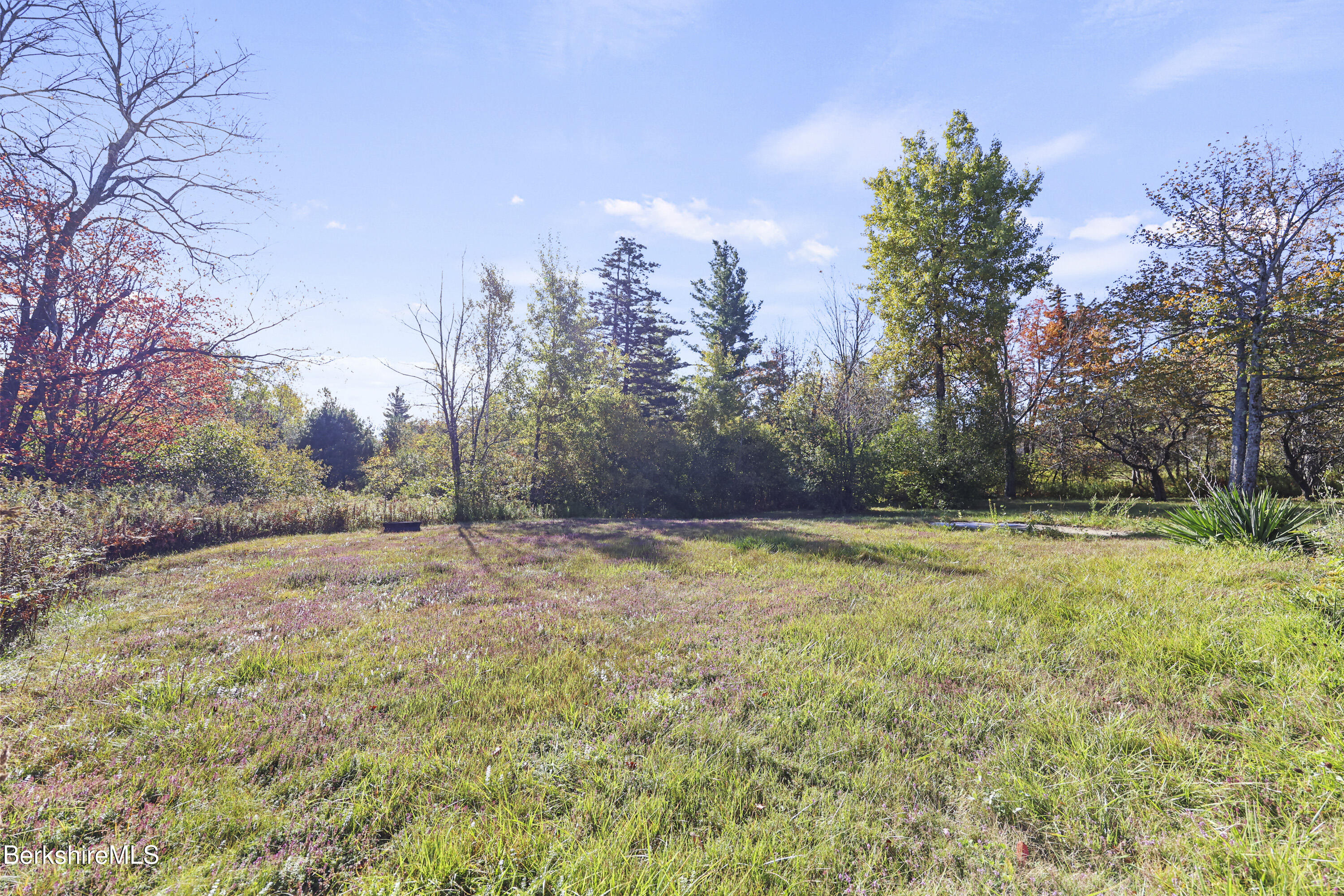 88 East Windsor Road Peru, MA 01235 - Photo 43 of 47 a view of a yard with trees