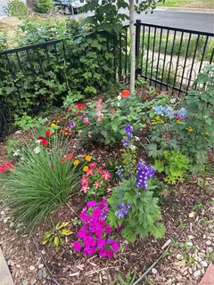 a view of a flower in a garden
