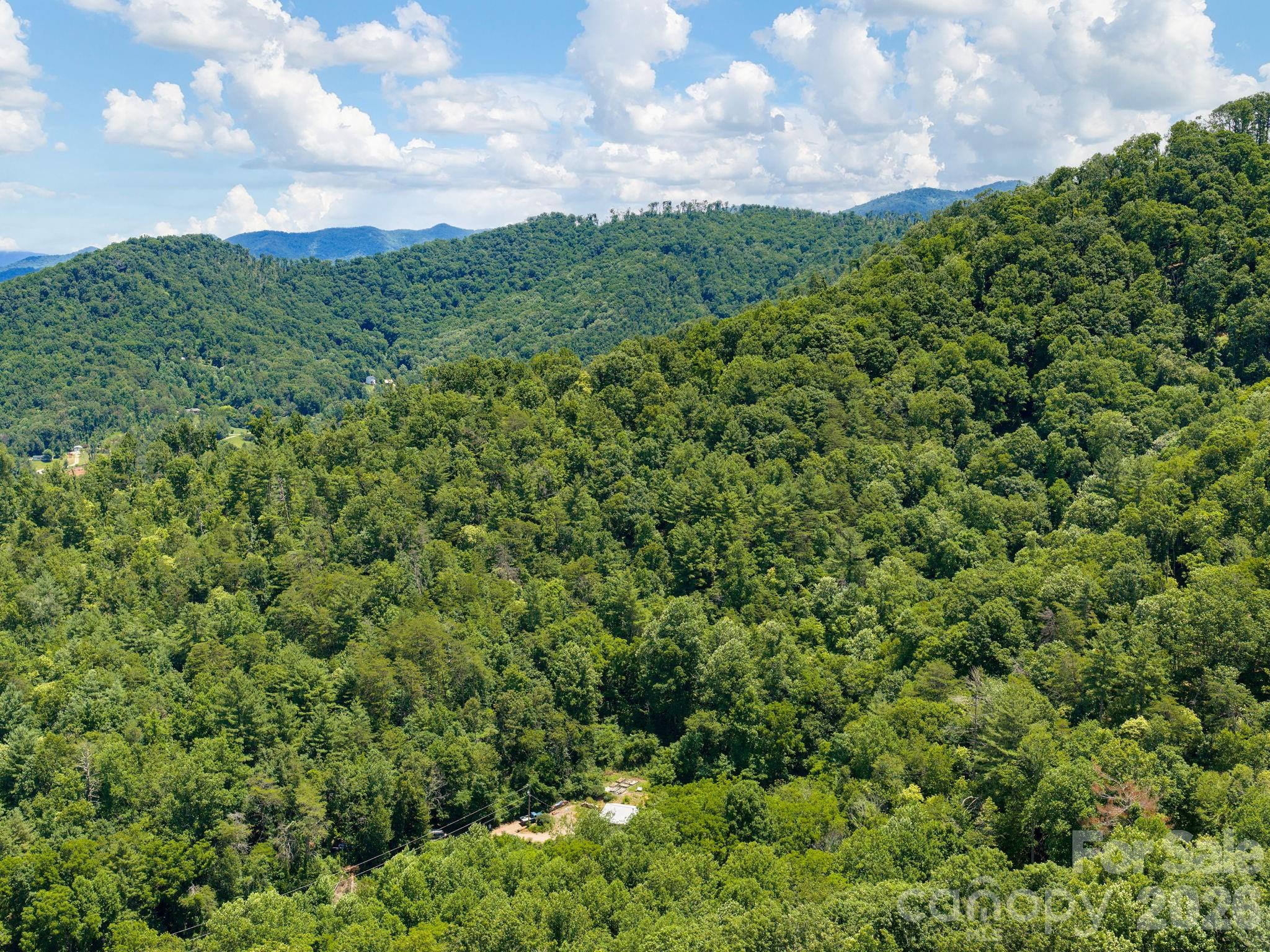 46 Perennial Ridge Weaverville, NC 28787 - Photo 43 of 44