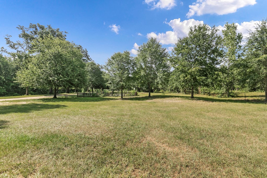 2480 South Springhill Road Gordon, AL 36343 - Photo 51 of 114