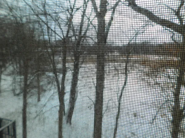 $449,800 | 3288 Hickory Drive, Lake Orion, MI 48359