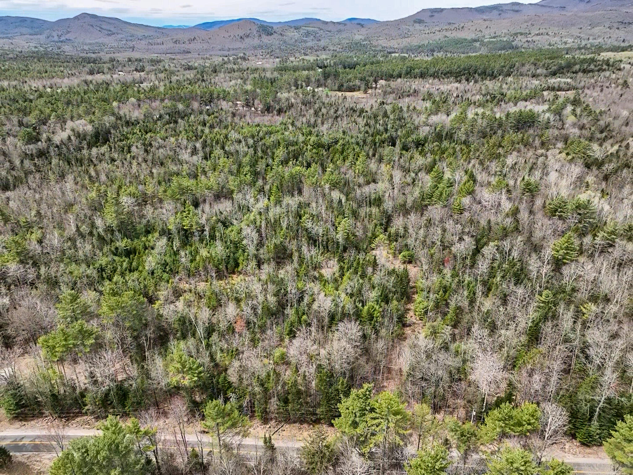 Lot 3 Carthage Road, Unit LOT 3 Carthage, ME 04224 - Photo 10 of 14