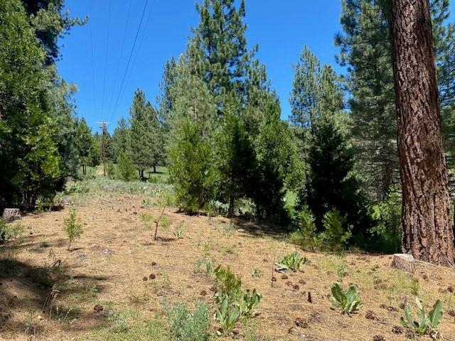 3657 Grizzly Road Portola, CA 96122 - Photo 8 of 10
