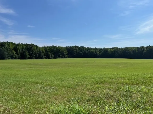 a view of a field with a yard