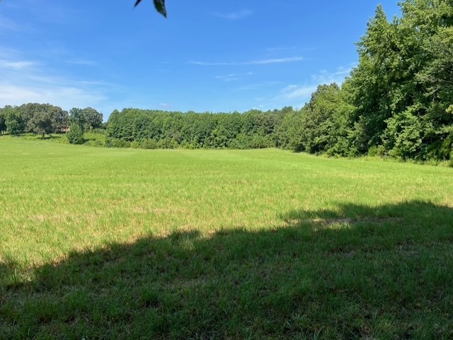 0 Ephesus Church Road Hollow Rock, TN 38342 - Photo 12 of 18 a view of an ocean from a yard