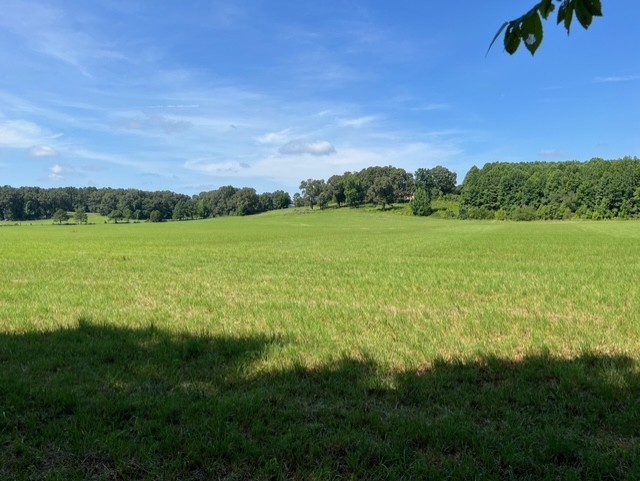 0 Ephesus Church Road Hollow Rock, TN 38342 - Photo 13 of 18 a view of an ocean and a mountain