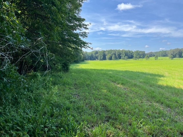 0 Ephesus Church Road Hollow Rock, TN 38342 - Photo 14 of 18 a view of an outdoor space and a yard