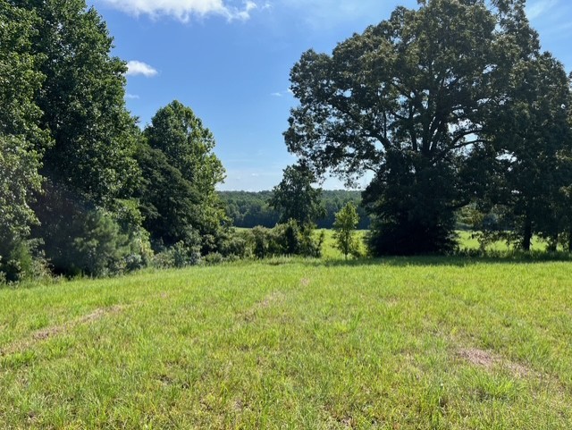0 Ephesus Church Road Hollow Rock, TN 38342 - Photo 15 of 18 a view of an outdoor space and a yard