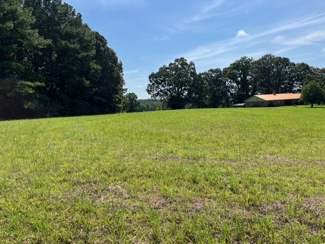 0 Ephesus Church Road Hollow Rock, TN 38342 - Photo 16 of 18 a view of a field of grass and trees