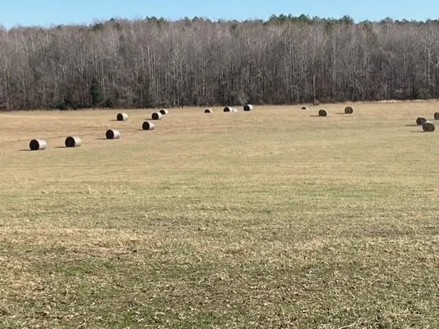 $545,000 | 0 Ephesus Church Road, Hollow Rock, TN 38342