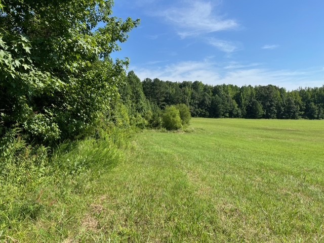 0 Ephesus Church Road Hollow Rock, TN 38342 - Photo 2 of 18 a view of basketball court
