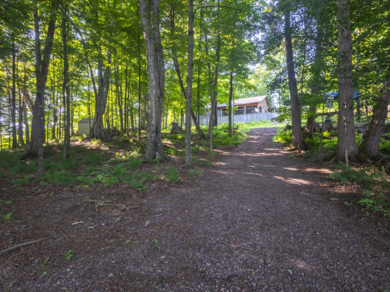 N217 Highview Lane Rib Lake, WI 54470 - Photo 59 of 64 Gallery Image 59