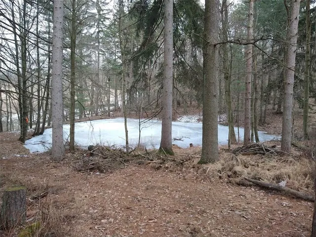 $2,175,000 | 143 Gracie Lane, Mars, PA 16046