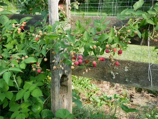 $2,175,000 | 143 Gracie Lane, Mars, PA 16046