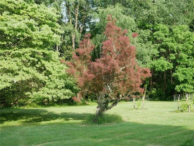 $2,175,000 | 143 Gracie Lane, Mars, PA 16046