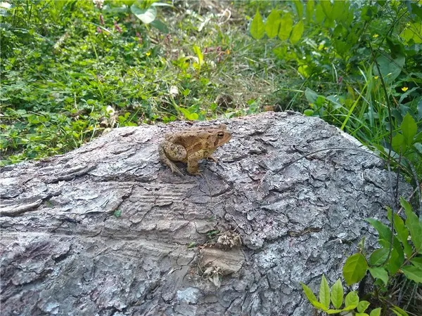 $2,175,000 | 143 Gracie Lane, Mars, PA 16046