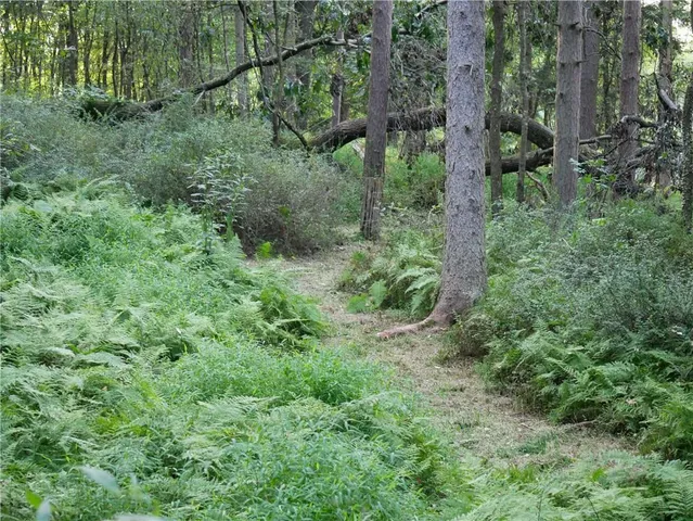 $2,175,000 | 143 Gracie Lane, Mars, PA 16046