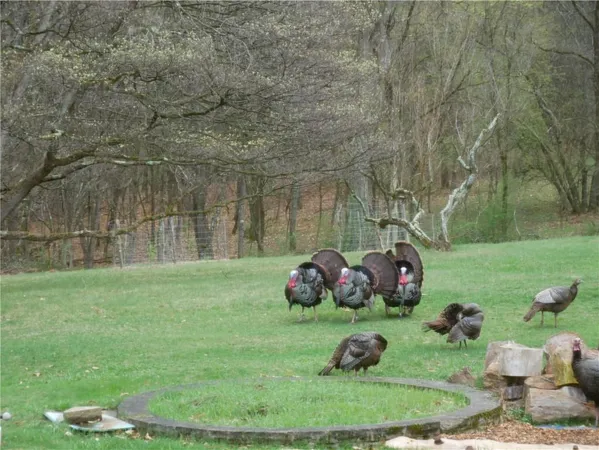 $2,175,000 | 143 Gracie Lane, Mars, PA 16046