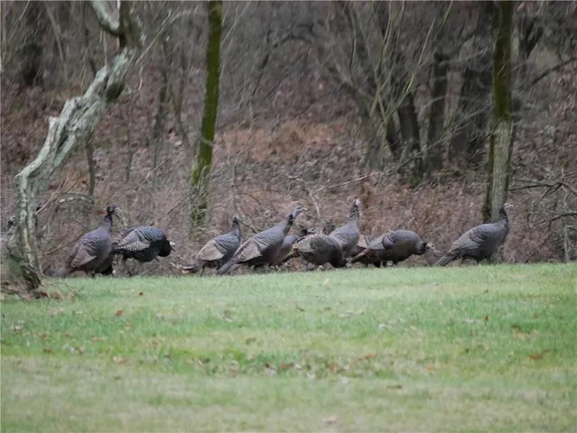 $2,175,000 | 143 Gracie Lane, Mars, PA 16046