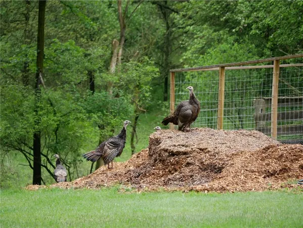 $2,175,000 | 143 Gracie Lane, Mars, PA 16046