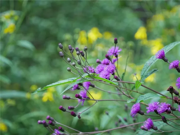 $2,175,000 | 143 Gracie Lane, Mars, PA 16046