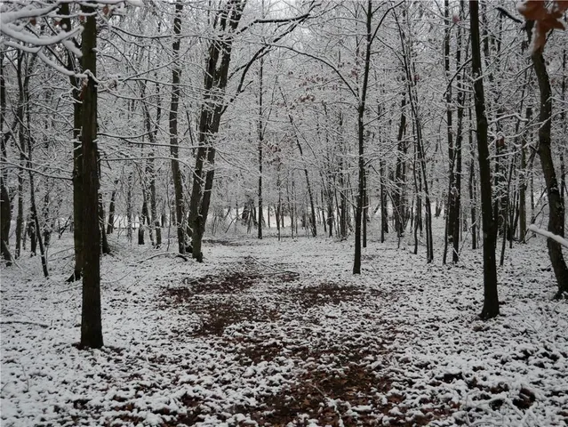 $2,175,000 | 143 Gracie Lane, Mars, PA 16046