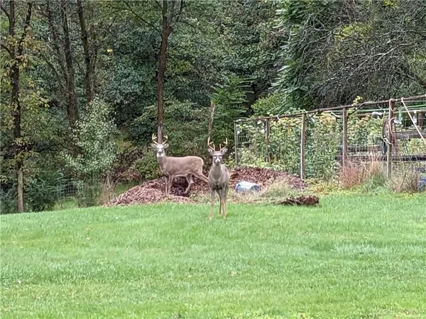 $2,175,000 | 143 Gracie Lane, Mars, PA 16046