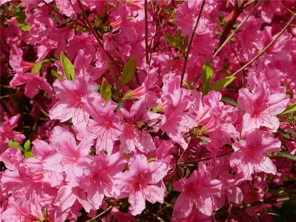 $2,175,000 | 143 Gracie Lane, Mars, PA 16046