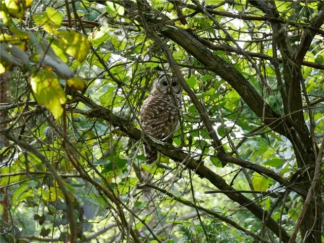 $2,175,000 | 143 Gracie Lane, Mars, PA 16046