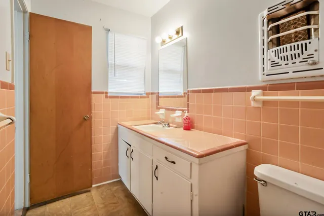 a bathroom with a sink a toilet and a mirror