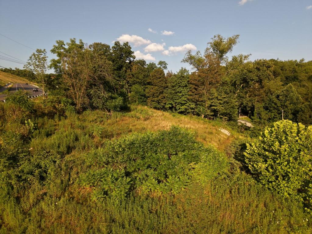 490 Freedom Crider Road Freedom, PA 15042 - Photo 13 of 22 a view of a large yard with lots of bushes