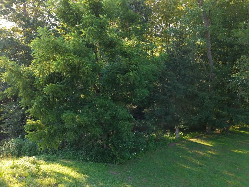 490 Freedom Crider Road Freedom, PA 15042 - Photo 14 of 22 a view of a yard