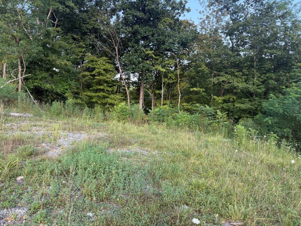 490 Freedom Crider Road Freedom, PA 15042 - Photo 4 of 22 a view of a lush green forest with lots of trees