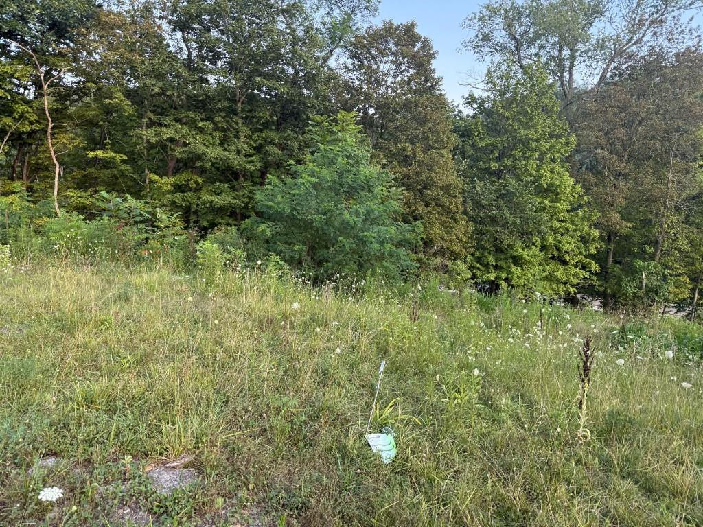 490 Freedom Crider Road Freedom, PA 15042 - Photo 5 of 22 a view of a lush green forest