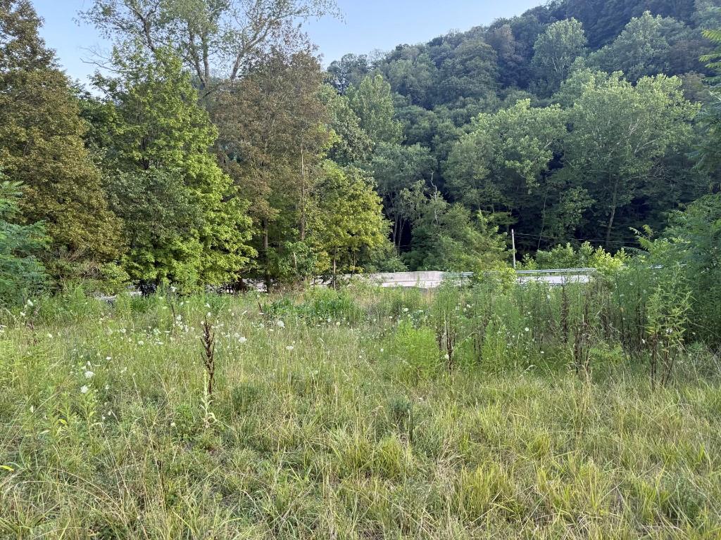 490 Freedom Crider Road Freedom, PA 15042 - Photo 6 of 22 a lush green forest with lots of trees