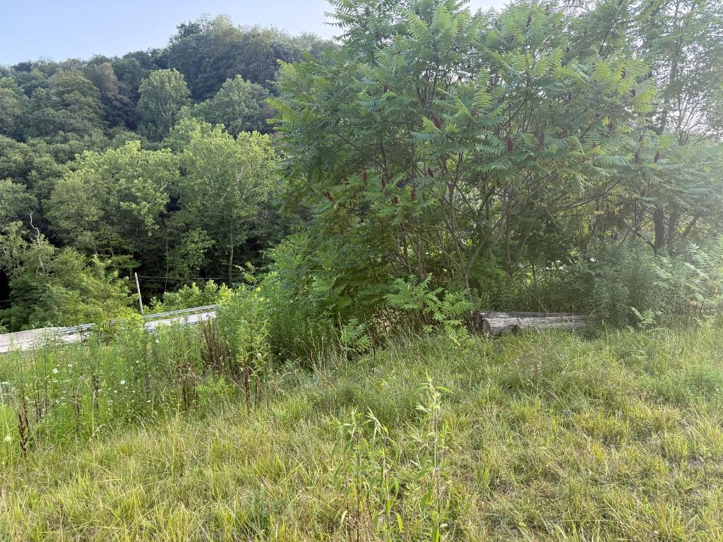 490 Freedom Crider Road Freedom, PA 15042 - Photo 7 of 22 a view of a lush green space