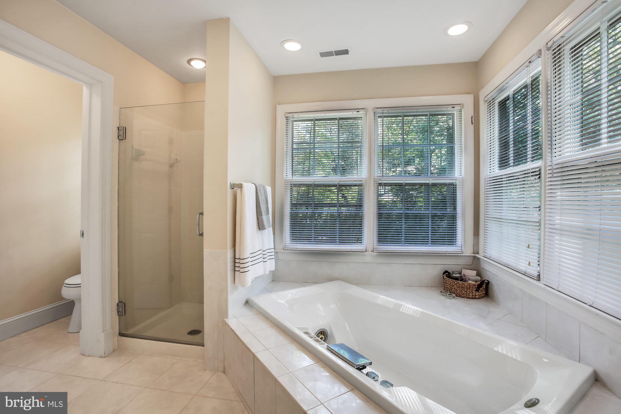 2705 Falling Timber Trail Edgewater, MD 21037 - Photo 27 of 40 Master Bathroom w Jacuzzi Tub