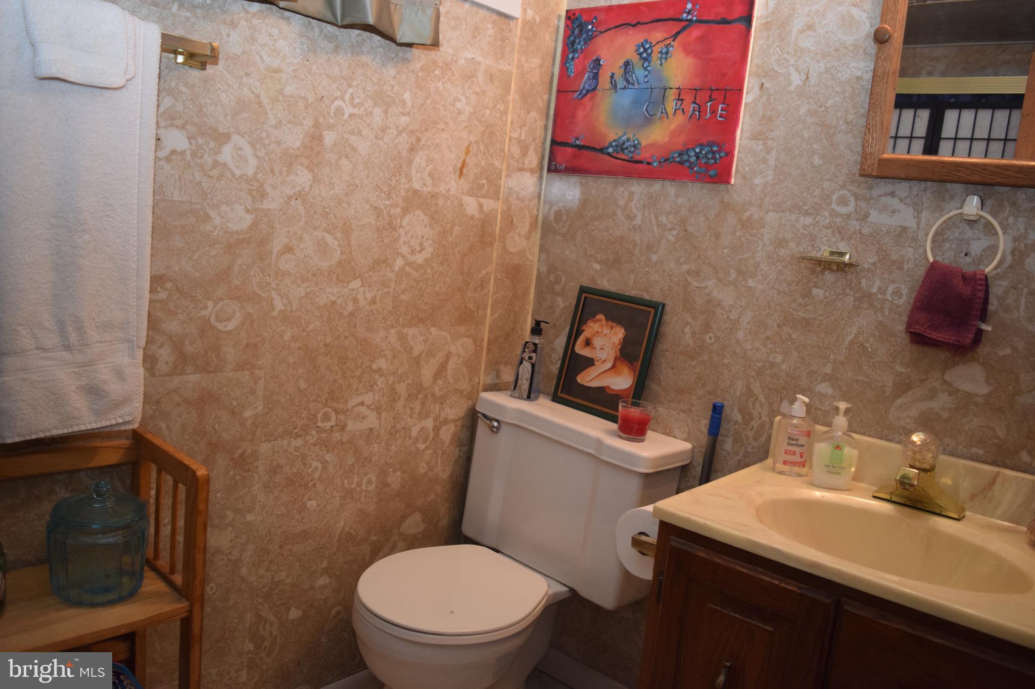 112 Silver Birch Road Williamstown, NJ 08094 - Photo 28 of 36 Bathroom - Lower Level