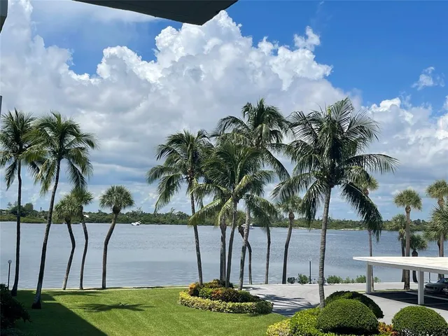 a palm tree sitting in front of a yard with house