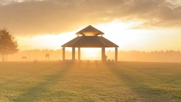 11550 Chimney Rock Road, Unit 324 Houston, TX 77035 - Photo 23 of 24 Sunrise at Willow WaterHole