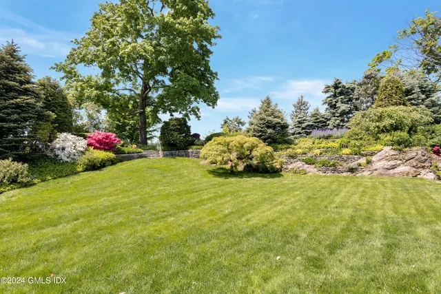 a view of a yard with plants and large trees