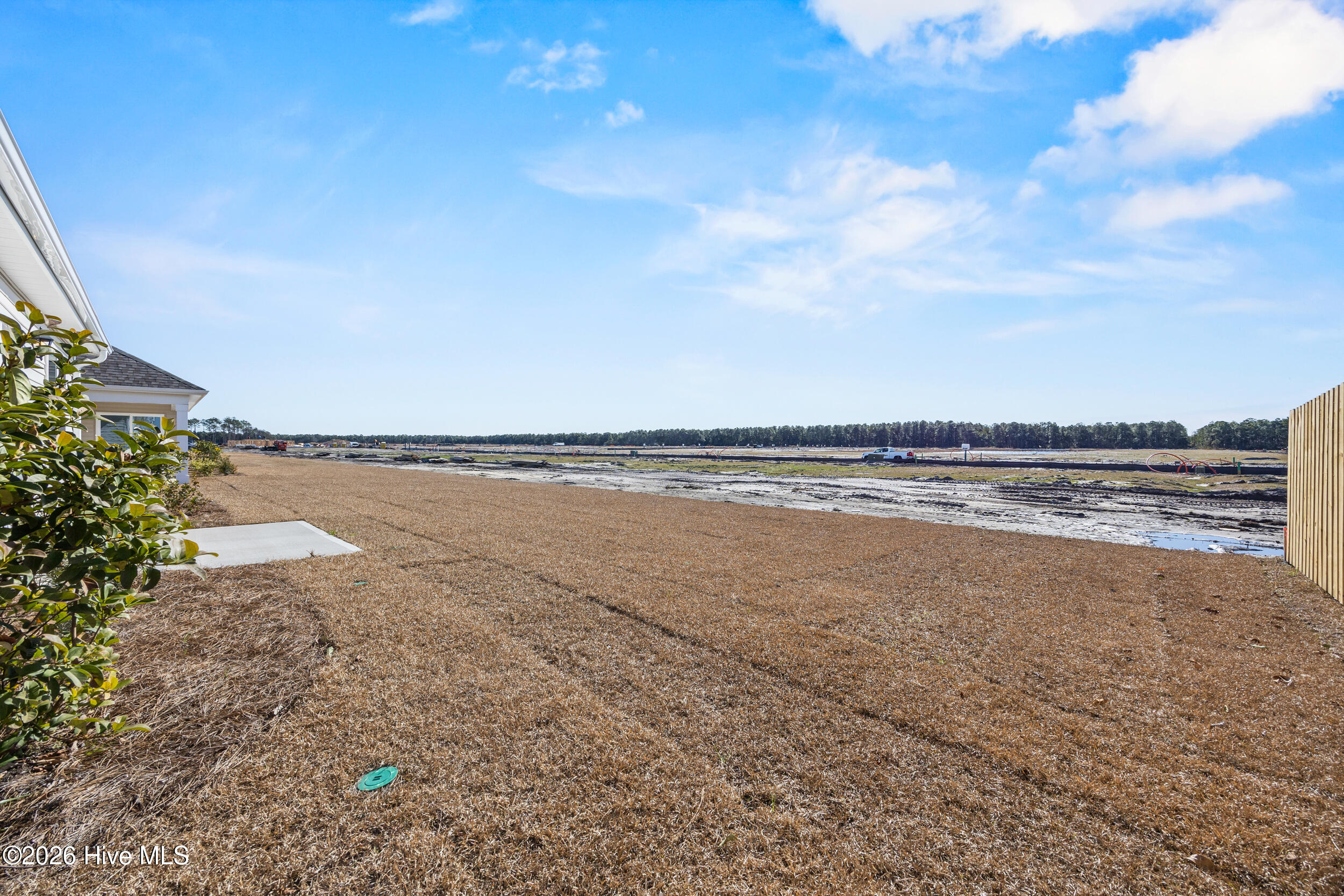 6358 Rye Grass Road Castle Hayne, NC 28429 - Photo 42 of 44 43_backyard